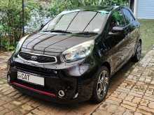 Kia Picanto 2016 Car
