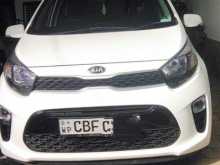 Kia Picanto 2017 Car