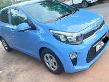 Kia Picanto 2017 Car
