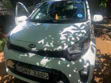 Kia Picanto 2017 Car