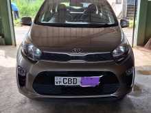 Kia Picanto 2017 Car