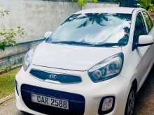Kia Picanto 2016 Car