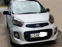 Kia Picanto 2016 Car