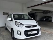 Kia Picanto 2016 Car