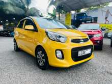 Kia Picanto 2016 Car