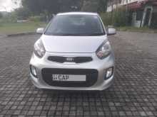 Kia Picanto 2016 Car