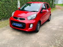 Kia Picanto 2016 Car