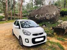 Kia Picanto 2016 Car