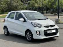 Kia Picanto 2016 Car