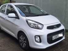 Kia Picanto 2016 Car