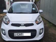 Kia Picanto 2016 Car