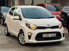 Kia Picanto 2017 Car