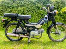 Kinetic 48 Rx 2024 Motorbike