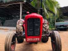 Massey-Ferguson IMT 533 1976 Tractor