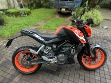 Photo 7
