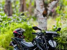 KTM Duke Eu 2020 Motorbike