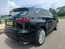 Lexus Nx 2013 SUV