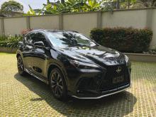 Lexus NX350H 2025 SUV