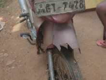 Photo 7
