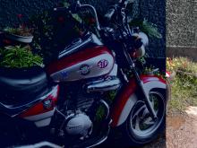 https://riyasewana.com/uploads/loncin-lx-150-114471519826.jpg