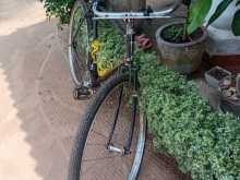 Lumala standard bicycle