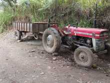 Massey-Ferguson 123456 1969 Tractor