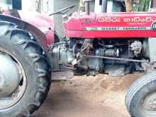 Massey-Ferguson 135 1983 Tractor