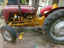 Massey-Ferguson 135 1984 Tractor