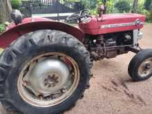 Massey-Ferguson 135 1981 Tractor