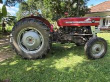 Massey-Ferguson 135 1979 Tractor