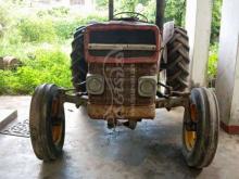 Massey-Ferguson 135 1900 Tractor