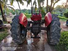 https://riyasewana.com/uploads/massey-ferguson-135-1975-318232712054.jpg