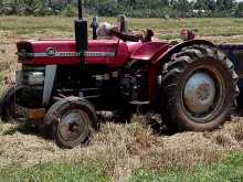 Massey-Ferguson 135 1979 Tractor