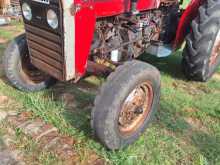 Massey-Ferguson 135 2000 Tractor