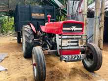 Massey-Ferguson 135 2024 Tractor