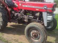 Massey-Ferguson 135  DL 1979 Tractor