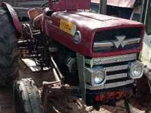 Massey-Ferguson 135 1980 Tractor