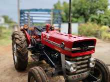 Massey-Ferguson 135 2023 Tractor