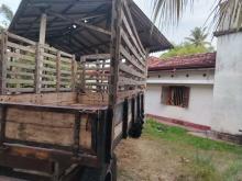 https://riyasewana.com/uploads/massey-ferguson-135-28905126316.jpg