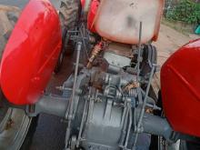 Massey-Ferguson 135 1981 Tractor