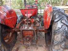 https://riyasewana.com/uploads/massey-ferguson-135-31747114783.jpg