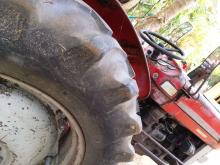 https://riyasewana.com/uploads/massey-ferguson-135-81955506836.jpg