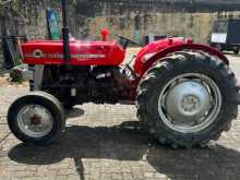 Massey-Ferguson 135 2026 Tractor