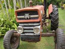 Massey-Ferguson 135 DL 1980 Tractor