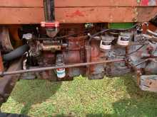 https://riyasewana.com/uploads/massey-ferguson-135-brand-21121027986.jpg