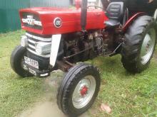 Massey-Ferguson 135 D 1982 Tractor