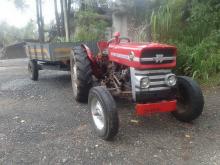 Massey-Ferguson 135 D 1980 Tractor