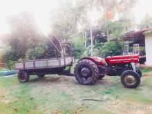 https://riyasewana.com/uploads/massey-ferguson-135-d-51835454983.jpg