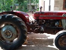 Massey-Ferguson 135 D 1997 Tractor