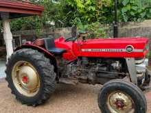 Massey-Ferguson 135 DL 1979 Tractor